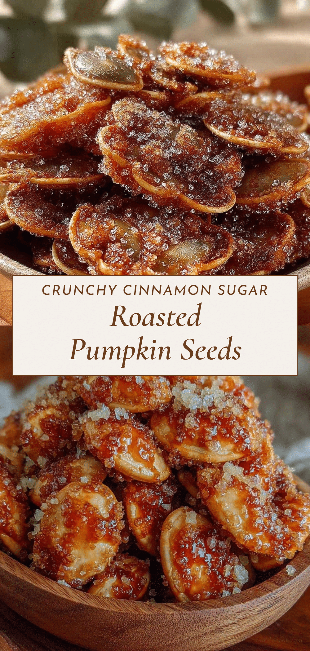 crunchy cinnamon sugar pumpkin seeds recipe