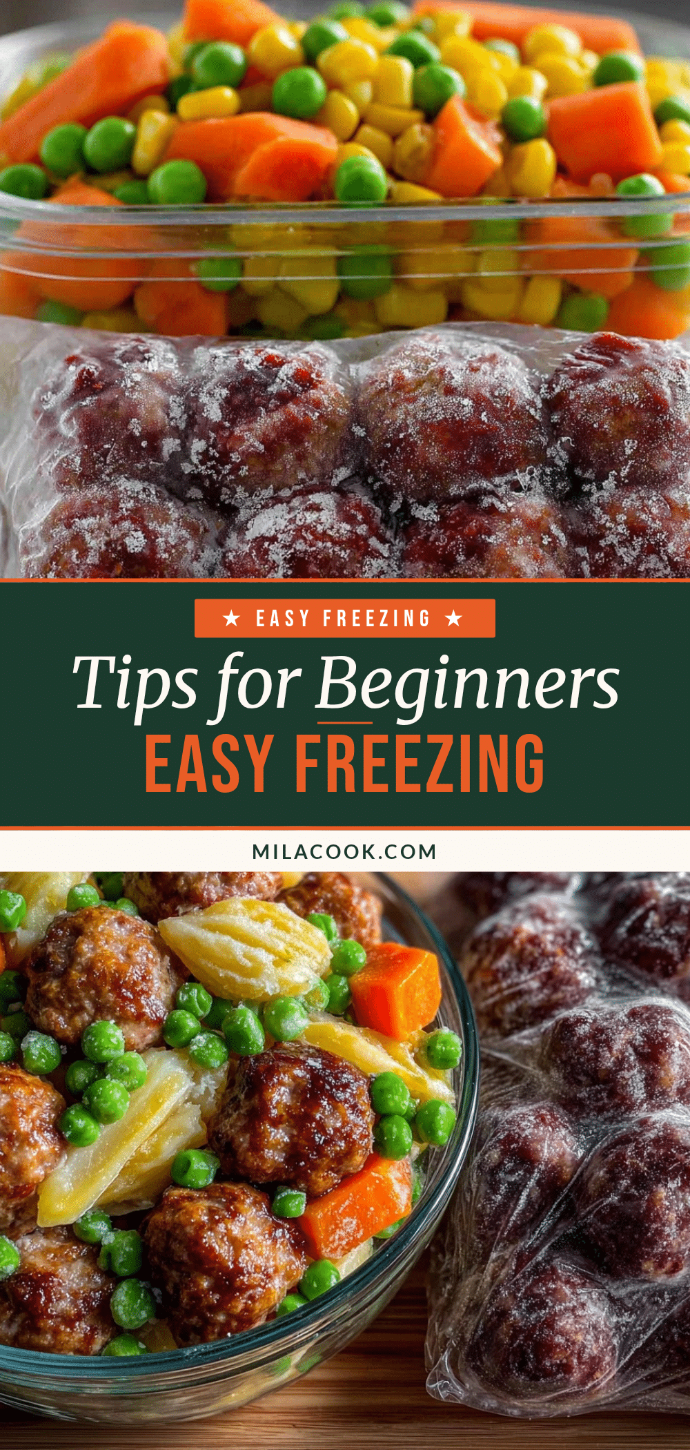 easy freezing tips for beginners recipe