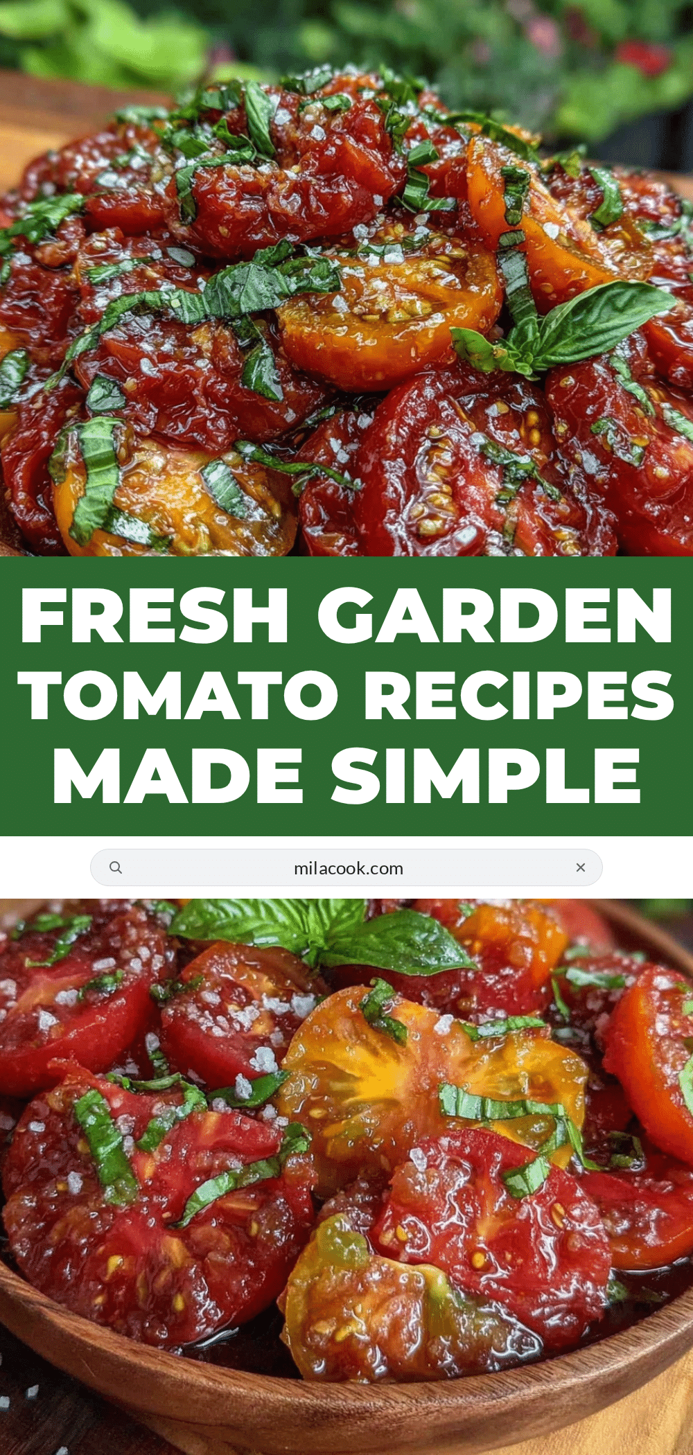 fresh beginner tomato recipes recipe