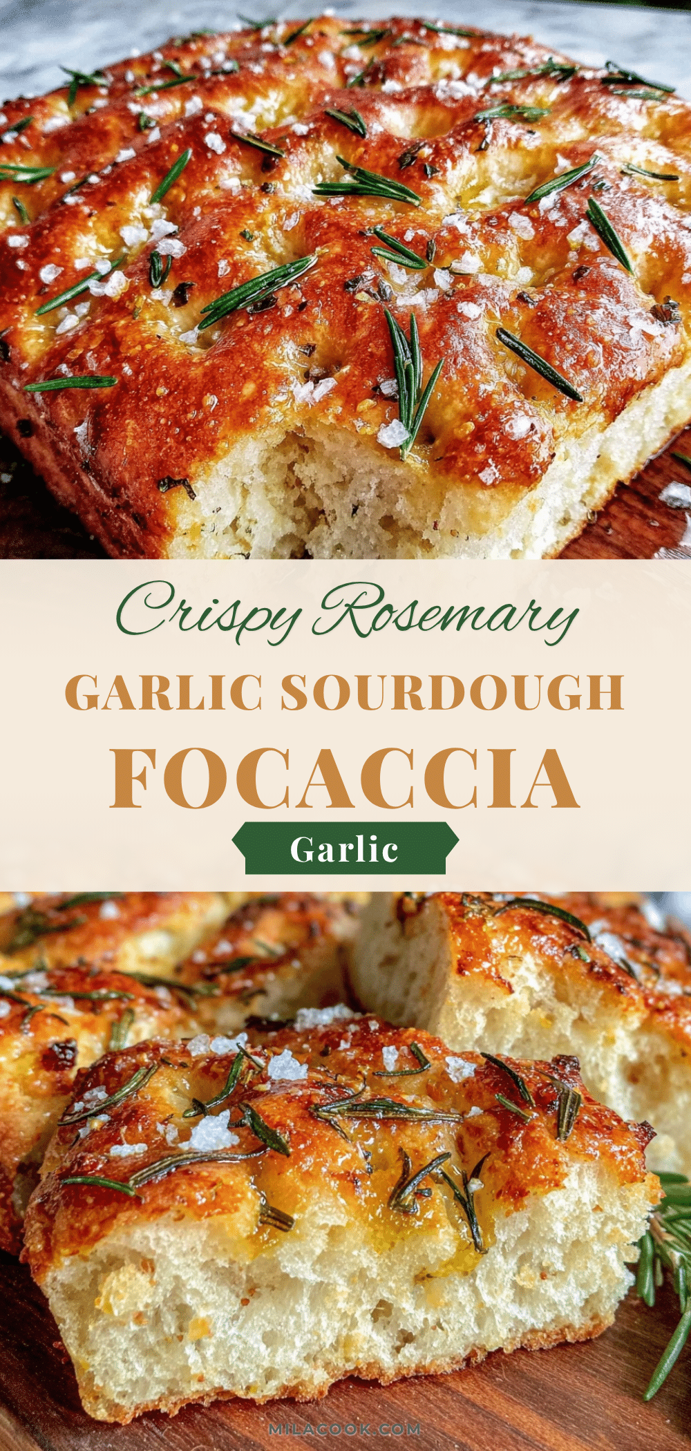 crispy sourdough focaccia recipe