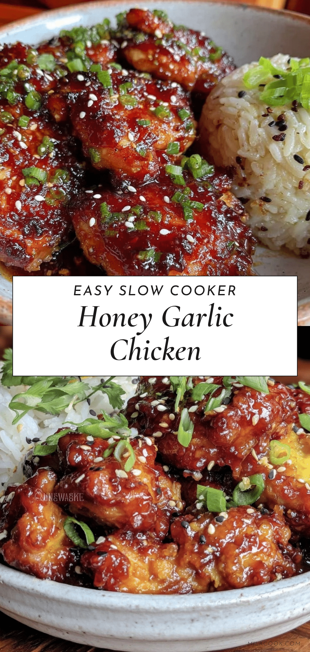 slow cooker honey garlic chicken recipe