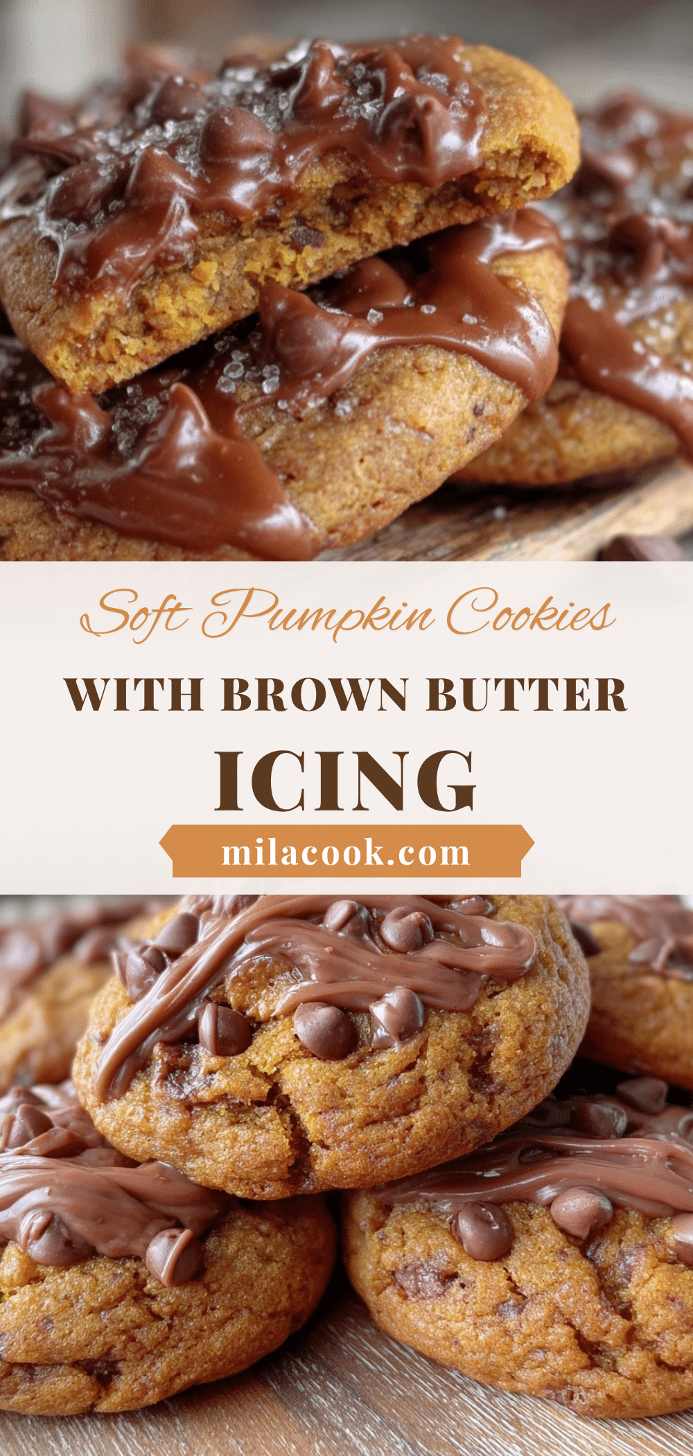 soft pumpkin chocolate chip cookies recipe