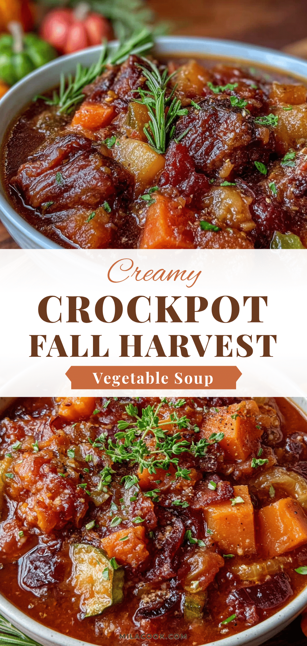 crockpot fall harvest vegetable soup recipe
