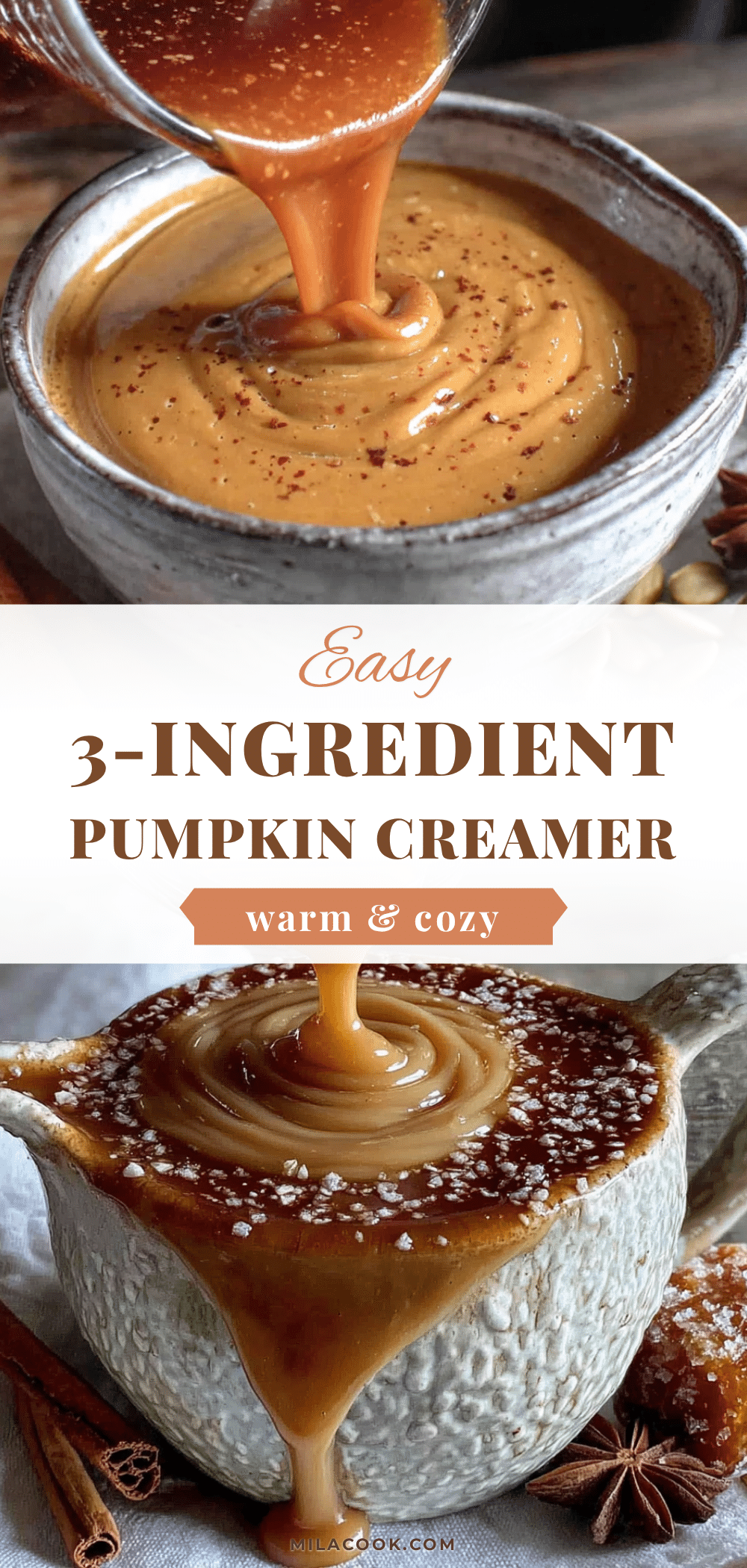 homemade pumpkin coffee creamer recipe