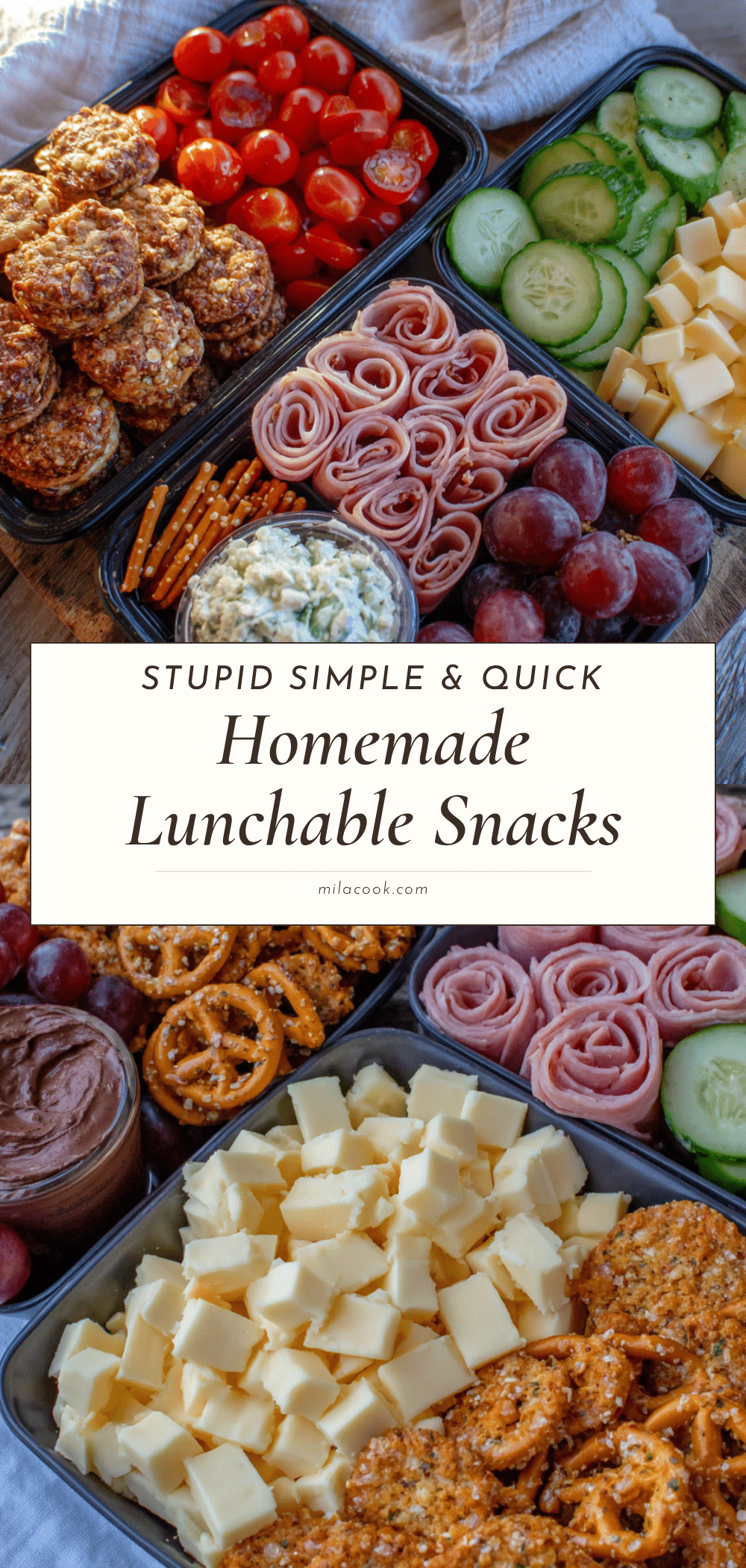 no nut homemade lunchable snack boxes recipe