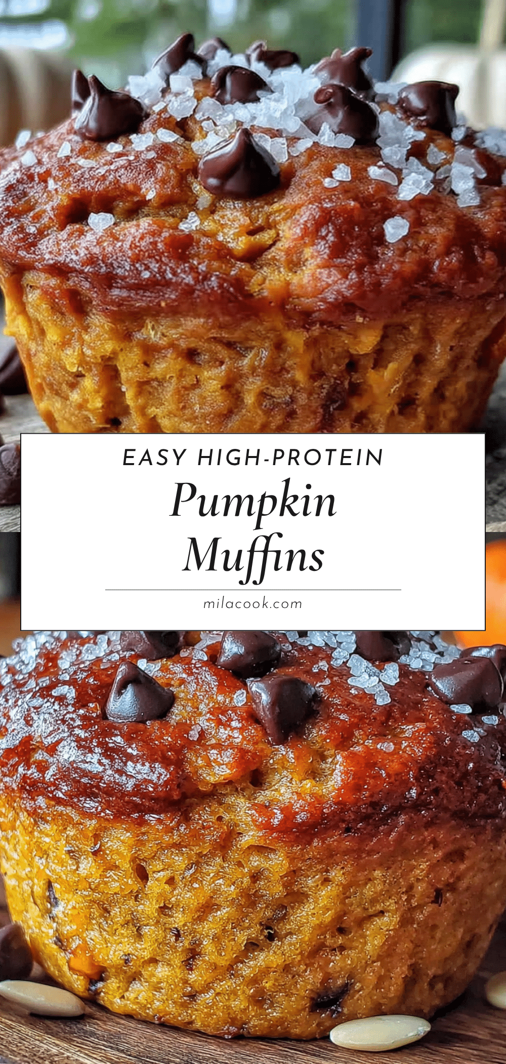 pumpkin protein muffins recipe