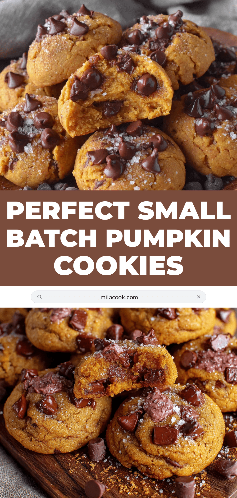 small-batch pumpkin chocolate chip cookies recipe