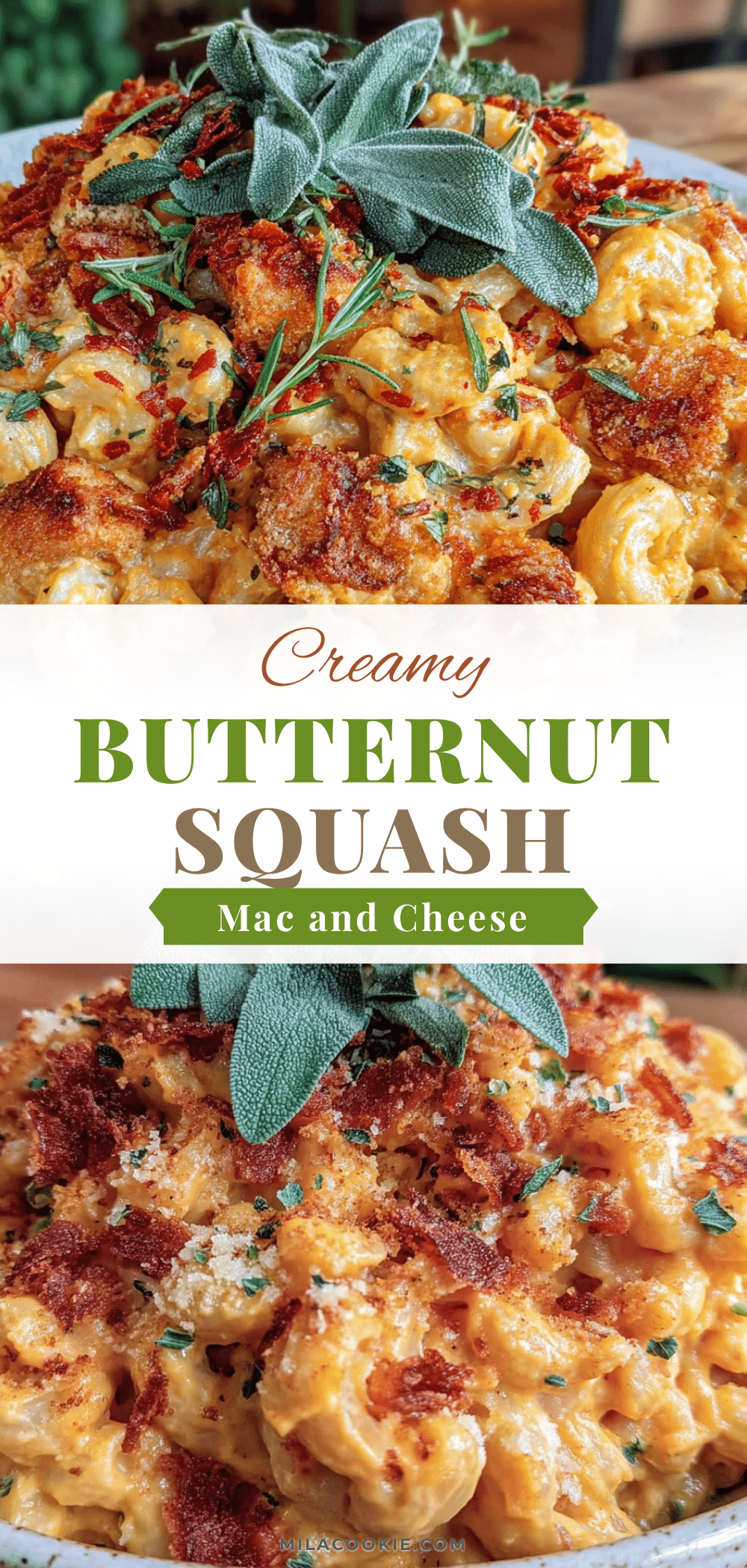 creamy butternut squash mac and cheese recipe