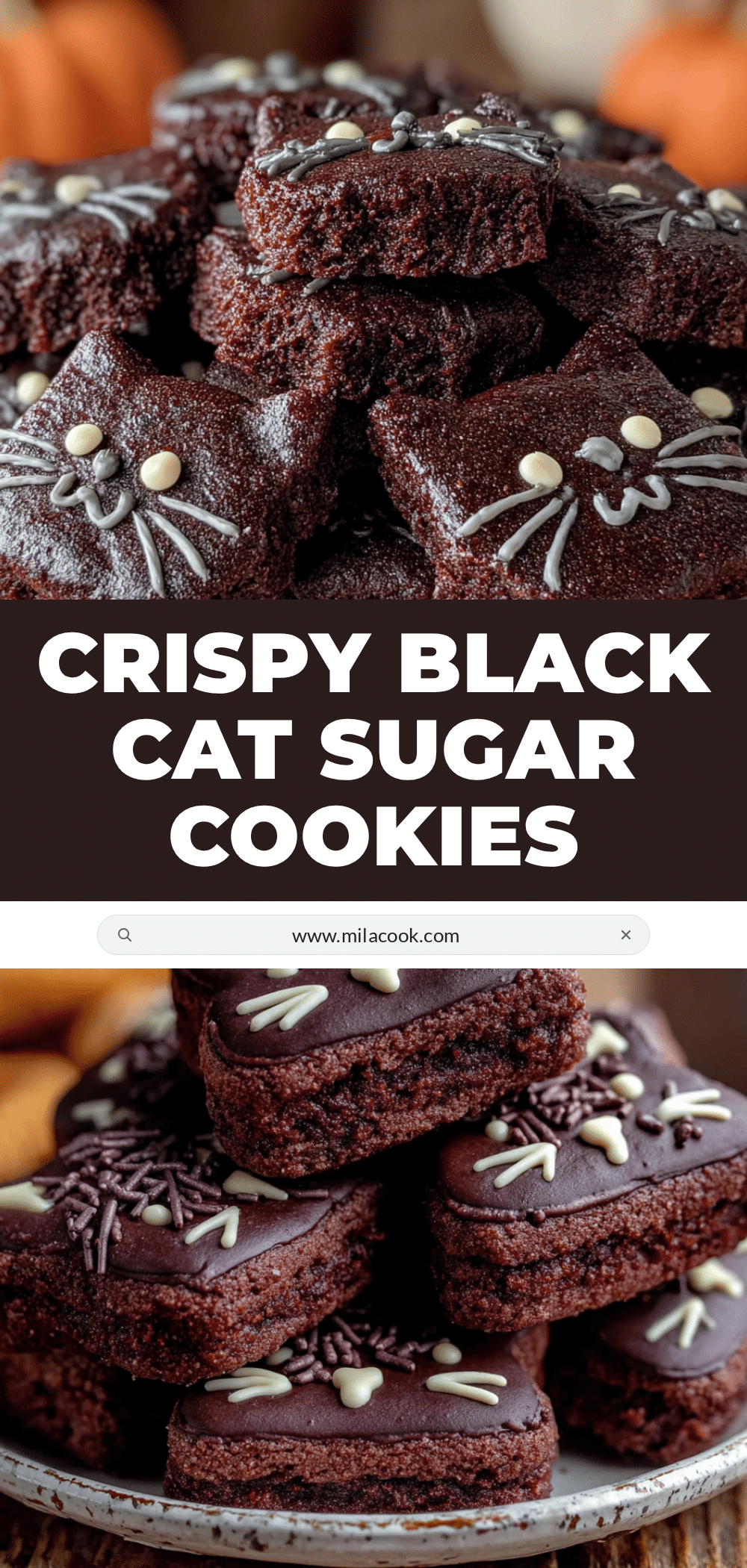 crispy black cat sugar cookies recipe