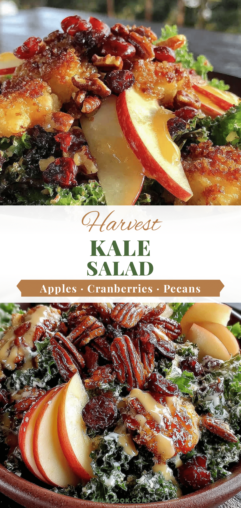 harvest kale salad recipe