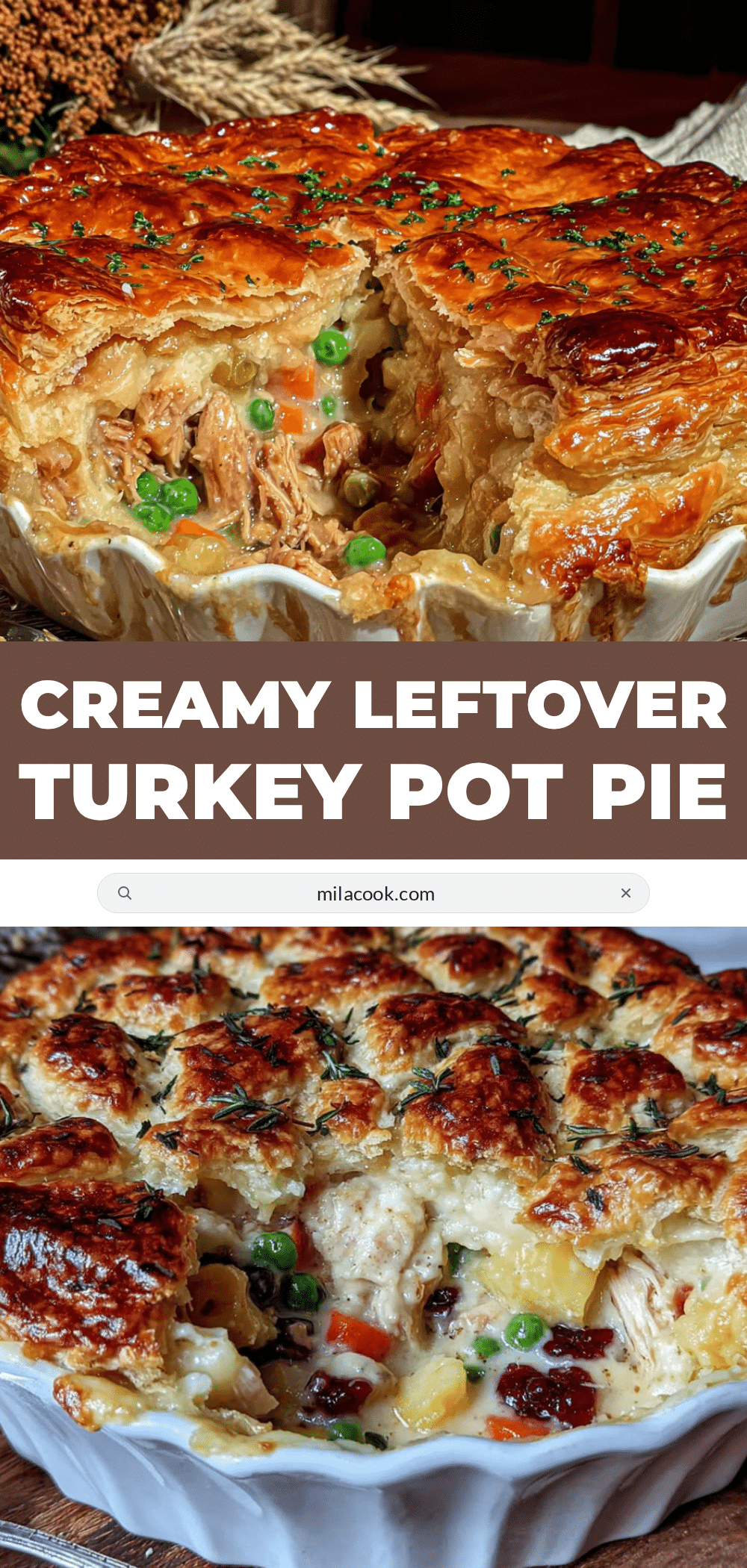 leftover turkey pot pie recipe