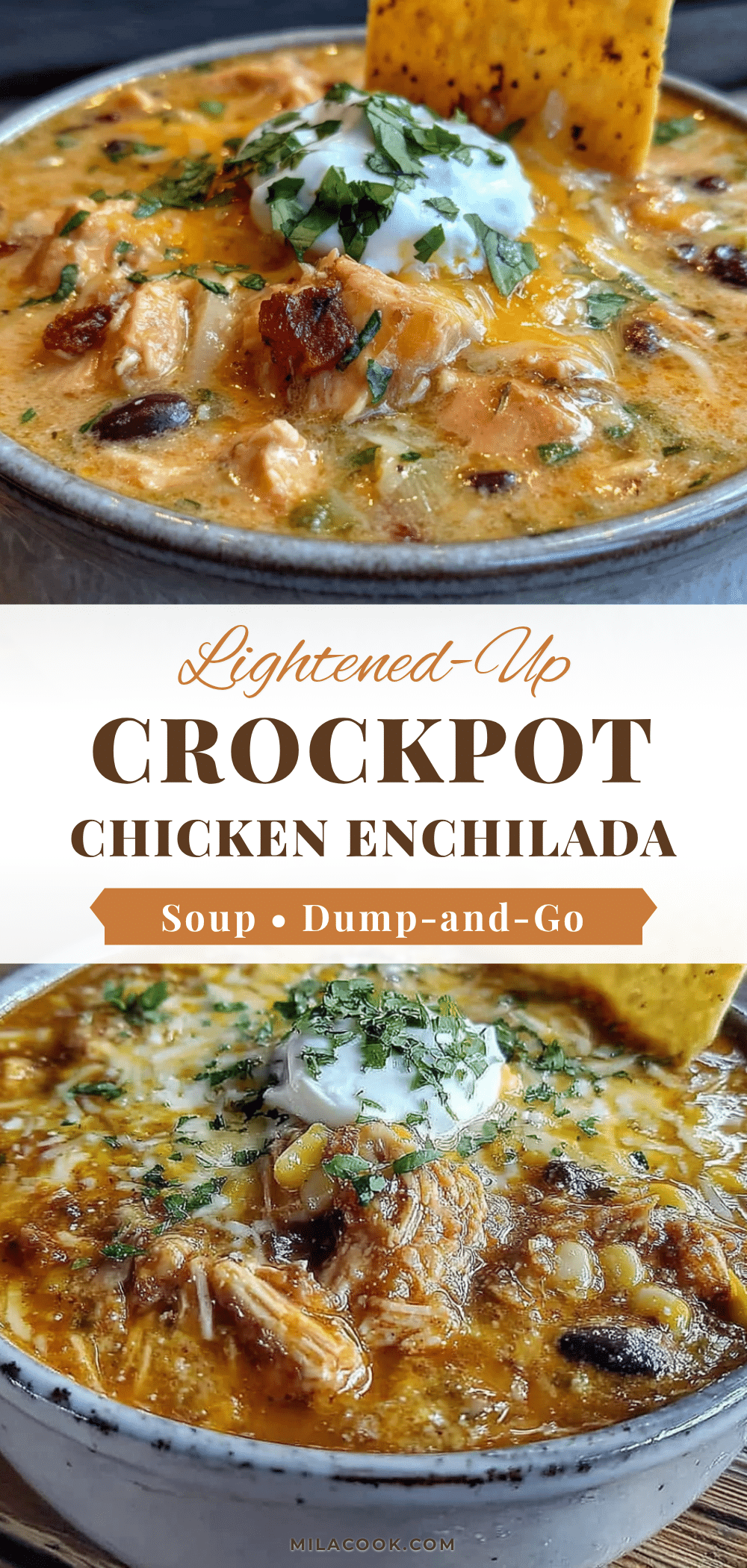 lightened-up crockpot chicken enchilada soup recipe