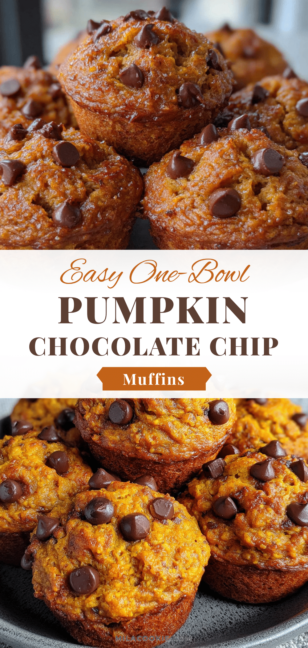 pumpkin chocolate chip muffins recipe