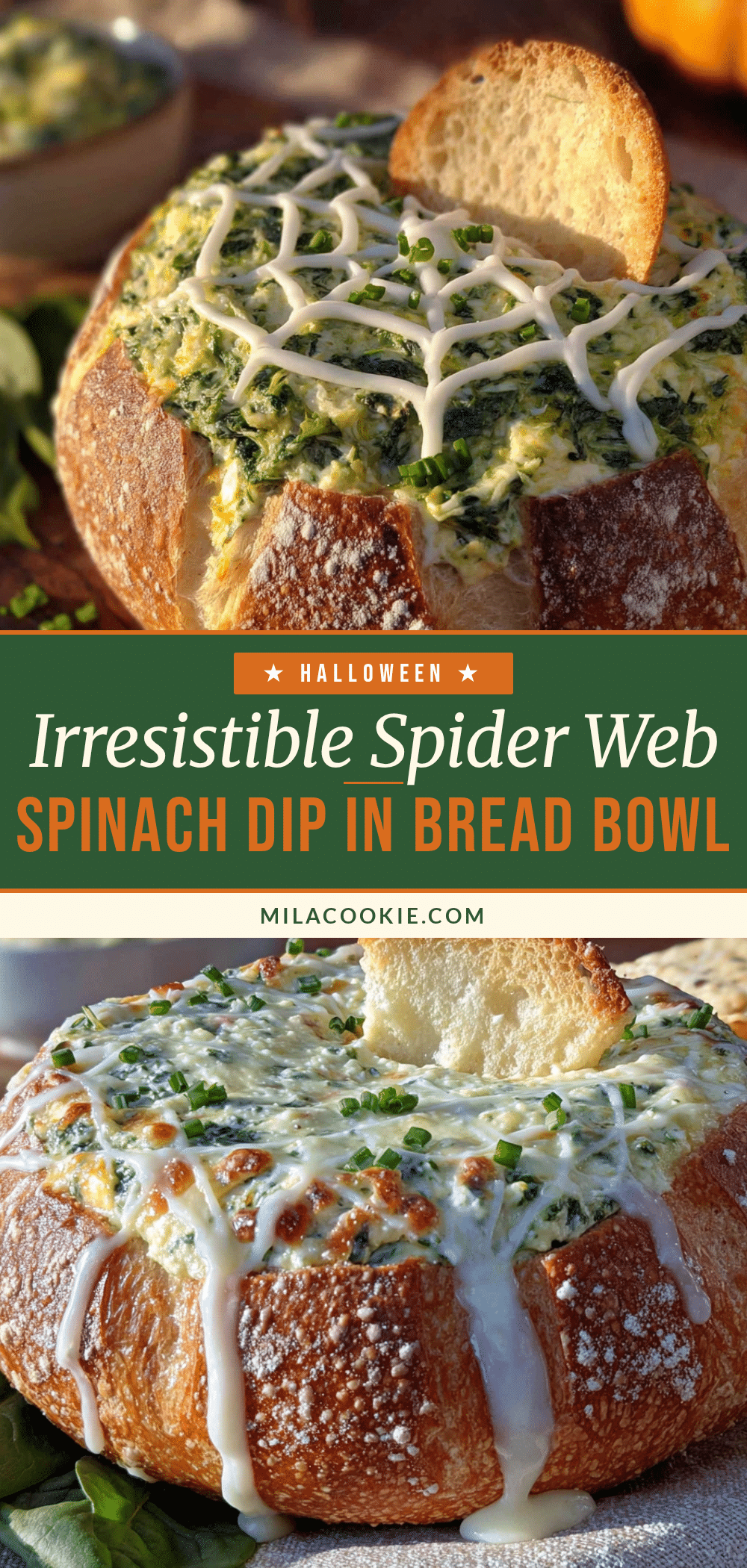 spider web spinach dip recipe